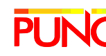 Punch Ng
